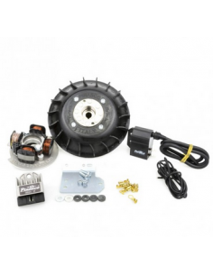 KIT ENCENDIDO PINASCO VESPA XL/FL 75/125CC CONO 20 1.1KG