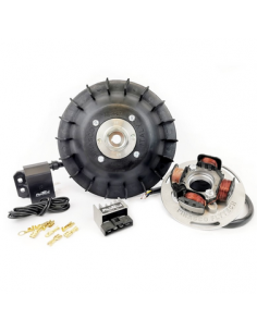 KIT ENCENDIDO PINASCO VESPA PX 125/150/200 IRIS/DN/TX...
