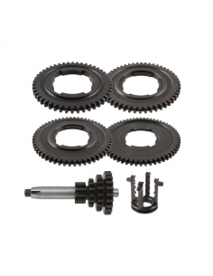 KIT CAJA DE CAMBIO VESPA 50 SPECIAL,VESPA ET3 125,VESPA...