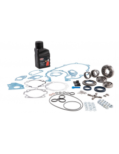 KIT DE REVISION MOTOR SIP PREMIUM VESPA 200 DN/DS