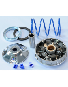 VARIADOR POLINI PIAGGIO NRG MC2,MC3,POWER,ZIP SP VESPA...
