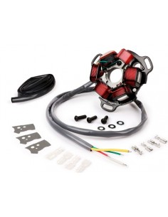 ESTATOR BGM COMPLETO HP V 4.5 SILICONA CA LAMBRETTA LI 150