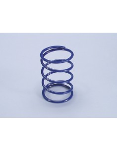 MUELLE EMBRAGUE POLINI PIAGGIO X9 250 MOTOR HONDA