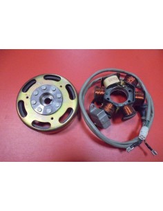 ENCENDIDO COMPLETO SFERA 80CC/PIAGGIO TYPHOON 80CC(NUEVO...