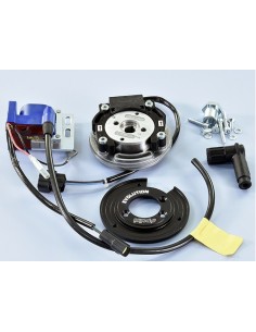 KIT ENCENDIDO POLINI DIGITAL MOTYORES PIAGGIO 50CC 2T,NRG...