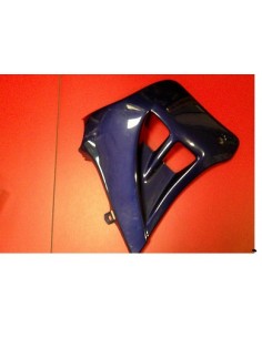 ALETIN DELANTERO DERECHO GILERA ZULU 50CC (RECAMBIO...