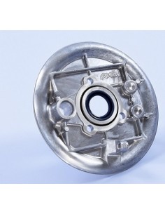 PLATO PORTAZAPATAS TRASERO POLINI VESPA 50,VESPA...