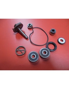 KIT REPARACION BOMBA AGUA PIAGGIO BEBERLY 250/X8 250/X9...