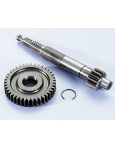 KIT DESARROLLO PRIMARIO POLINI PIAGGIO NRG...