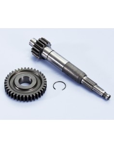 KIT DESARROLLO PRIMARIO POLINI PIAGGIO ZIP SP 2000 Z-16/37Z