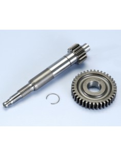 KIT DESARROLLO PRIMARIO POLINI PIAGGIO ZIP SP 2000 Z-15/38Z