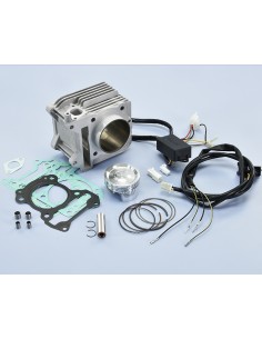 CILINDRO POLINI VESPA PRIMAVERA/SPRINT 125-150CC 4T...