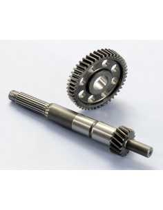 DESARROLLO PRIMARIO POLINI VESPA PRIMAVERA/SPRINT...