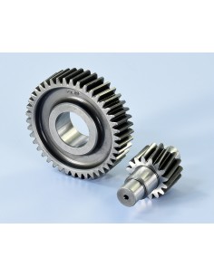 DESARROLLO SECUNDARIO POLINI VESPA PRIMAVERA/SPRINT...