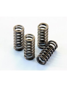 JUEGO MUELLES VALVULAS CULATA POLINI VESPA GTS 300 EURO 3