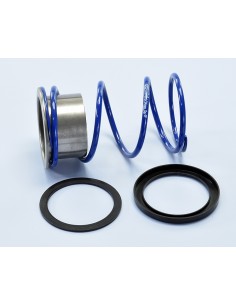 MUELLE EMBRAGUE POLINI VESPA GTS 300 IE (CON ARO SLIDER...