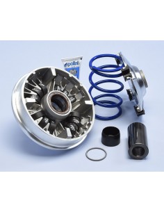 VARIADOR POLINI HONDA SH 350 EURO 5 12 RODILLOS