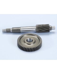 KIT DESARROLLO PRIMARIO POLINI PIAGGIO ZIP SP 2000...