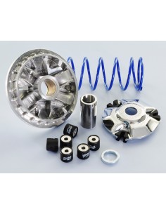 VARIADOR POLINI SYM JOYMAX 125 I(LN) 2014