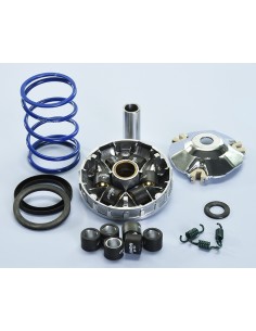 VARIADOR POLINI PIAGGIO LIBERTY 50 4T IGET