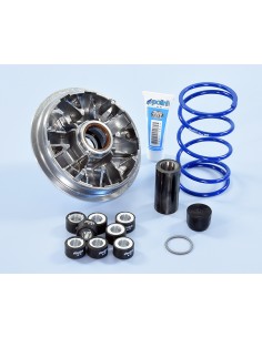 VARIADOR POLINI PIAGGIO BEBERLY 350CC/PIAGGIO X10 350CC