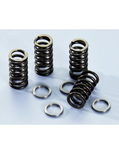 JUEGO MUELLES EMBRAGUE POLINI MOTORES MINARELLI AM6