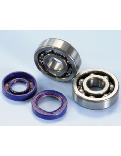 JUEGO RODAMIENTOS-RETENES CIGUEÑAL POLINI MOTORES...