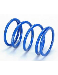 MUELLE EMBRAGUE POLINI HONDA SH 350 I ABS EURO 5(2021)