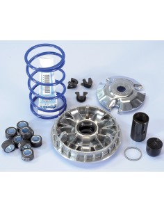 VARIADOR POLINI PIAGGIO BEBERLY 300 IE ABS EURO4(9 RODILLOS)