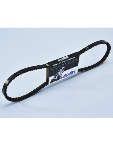 CORREA VARIADOR POLINI...