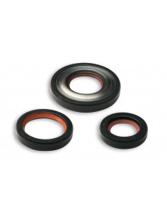 JUEGO RETENES MOTOR MALOSSI VESPA SUPER/PRIMAVERA...