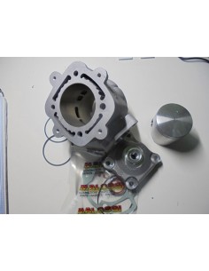 CILINDRO MALOSSI GILERA RUNNER FX/FXR
