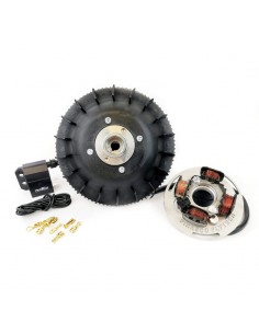 ENCENDIDO PINASCO 1.6KG VESPAPX 125-150-200-COSA (CON...