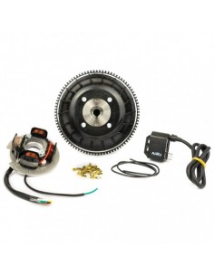 ENCENDIDO PINASCO 1.5KG PIAGGIO APE 50 EUROPA/MIX/WEB...