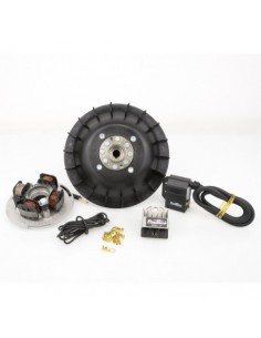 ENCENDIDO PINASCO 1.4KG VESPA T5 125CC 2T(SIN ARRANQUE...