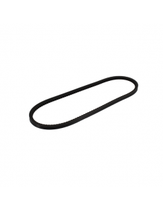 CORREA SERVICIO 10 X 800 PIAGGIO PORTER