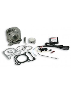 CILINDRO MALOSSI 185CC PIAGGIO LIBERTY,FLY 125CC 3V,VESPA...