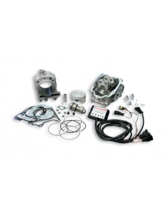 CILINDRO MALOSSI 218,PIAGGIO BEBERLY,CARNABY,MP3,X8,X9...