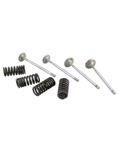 KIT VALVULAS MALOSSI PARA CULATA ORIGINAL VESPA GTS...