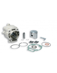 CILINDRO MALOSSI SIN CULATA 172CC PIAGGIO HEXAGON/GILERA...