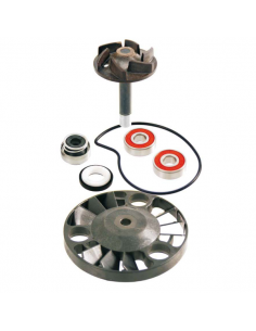 KIT REPARACION BOMBA AGUA PIAGGIO BEBERLY 125,HEXAGON GTX...