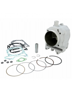 CILINDRO MALOSSI 282cc VESPA GTS / GTV 300cc