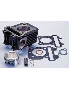 CILINDRO POLINI VESPA ET 50/VESPA LX 50 4T/ZIP 50 4T