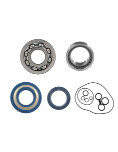 JUEGO RODAMIENTOS-RETENES CIGUEÑAL VESPA DS-DN-IRIS-PX...