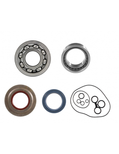 JUEGO RODAMIENTOS-RETENES VITON CIGUEÑAL VESPA...