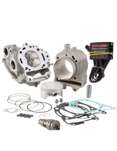 CILINDRO MALOSSI 218,PIAGGIO BEBERLY,CARNABY,MP3,X8,X9...