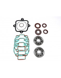 KIT REPARACION MOTOR RUNNER 125-180CC 2T,PIAGGIO HEXAGON...