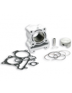 CILINDRO MALOSSI RACING YAMAHA YZF-R 125CC IE EURO 3...