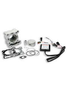 CILINDRO MALOSSI RACING APRILIA RS4 125CC EURO 3 IE...