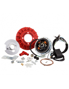 ENCENDIDO MALOSSI VESPOWER VESPA PK 75-125 XL,PKS,FL...